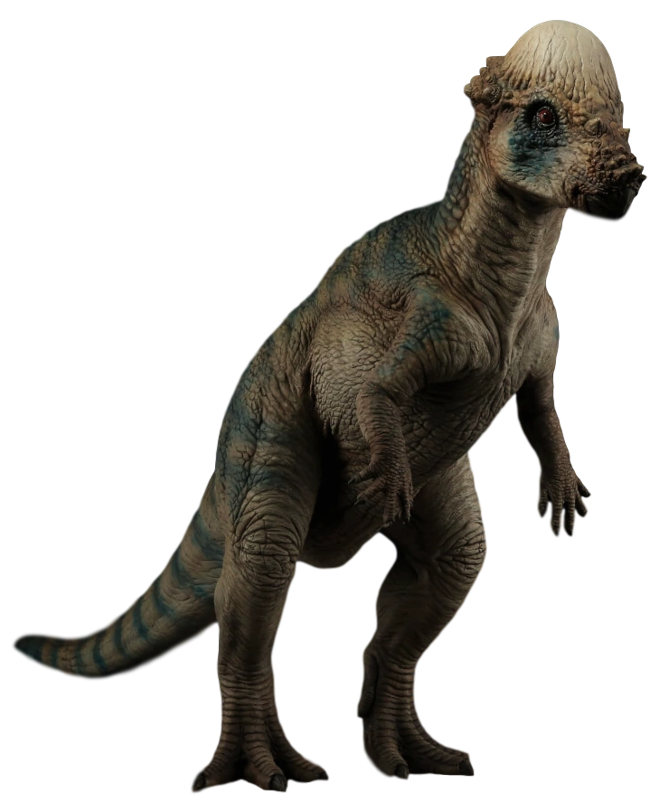 Pachycephalosaurs