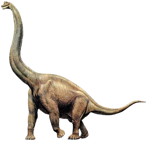 Sauropods