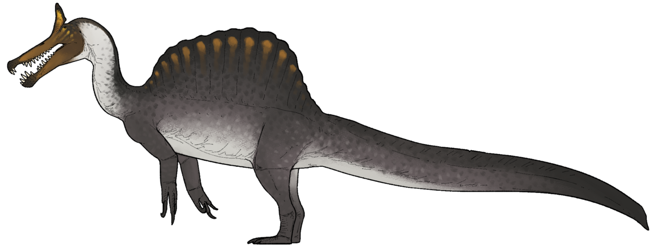 Spinosaurus