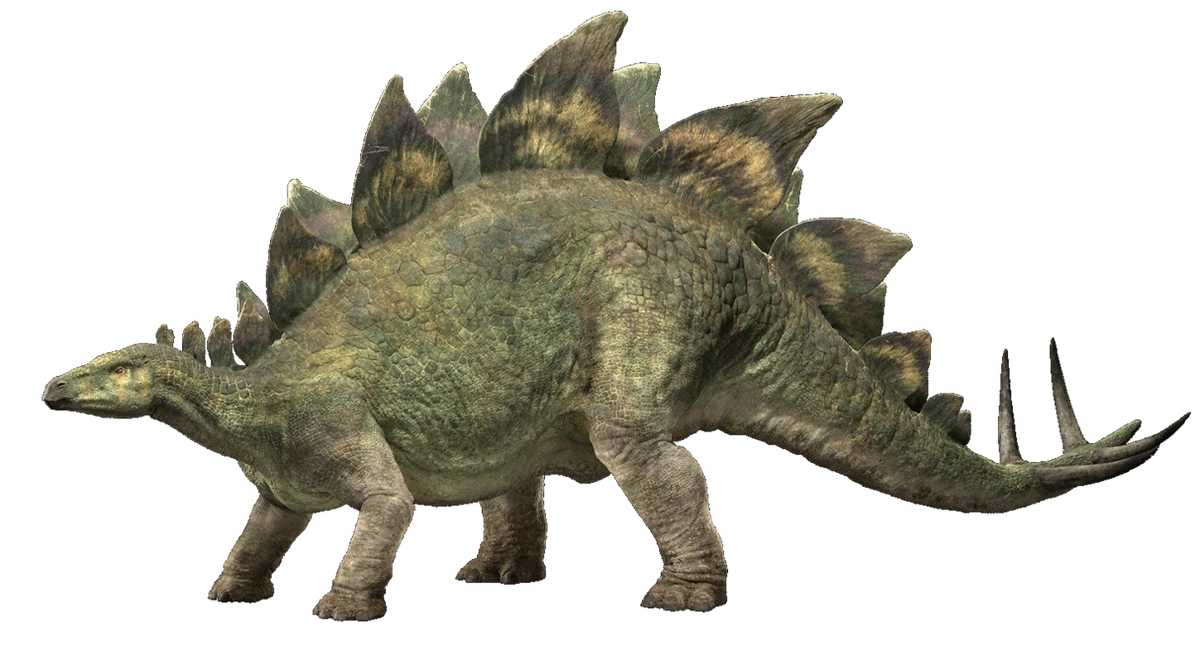 Stegosaurs