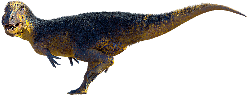 Theropods